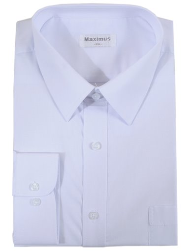 Maximus 101 드레스 셔츠
